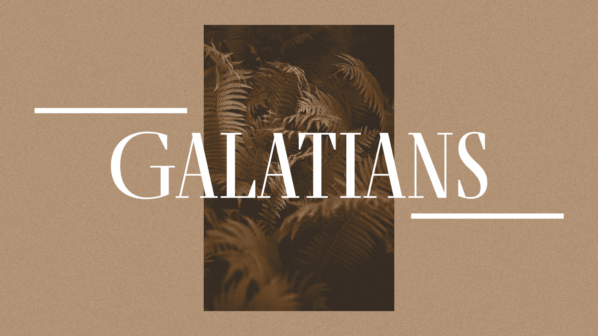 Wednesday Study- Galatians 3:1-6